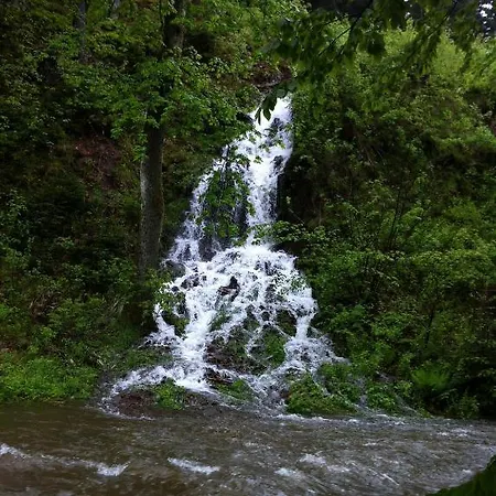 Haus Sonneck Gasthof Wildemann