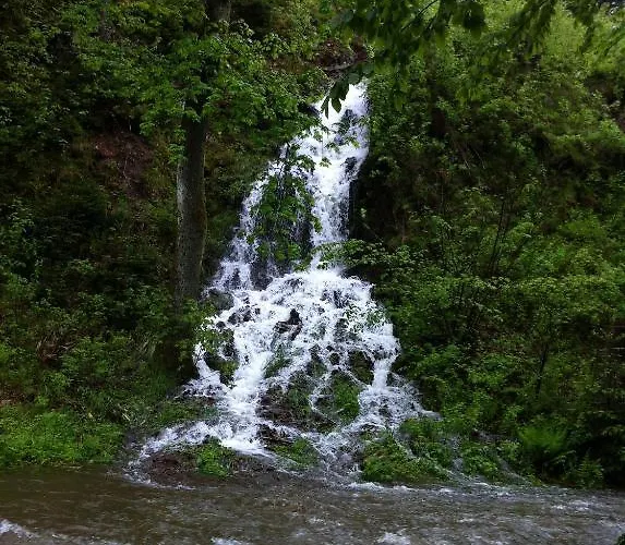 Haus Sonneck Πανσιόν Wildemann